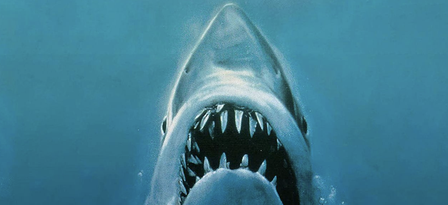 Bahamas: Shark Bites Into Juicy Ham, Spits It Out Because It Tastes of Chemicals and Plastic